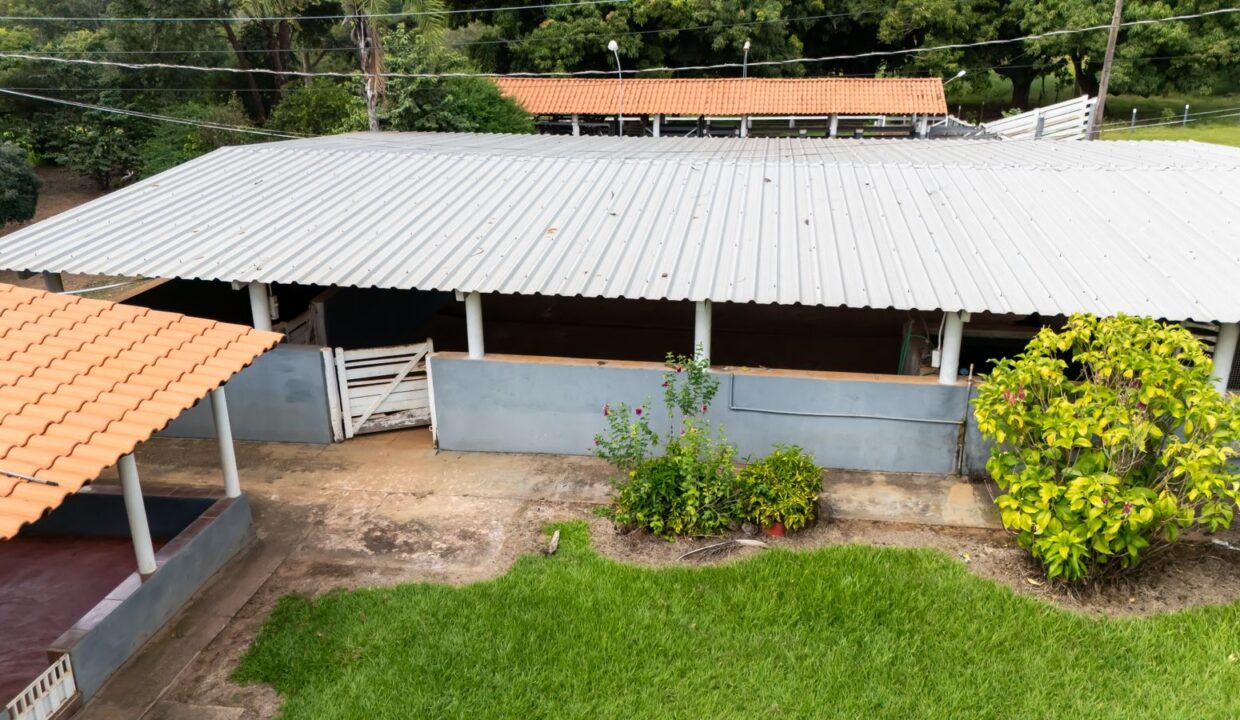 01ca81bd-1b03-4c95-8396-ce739326b942