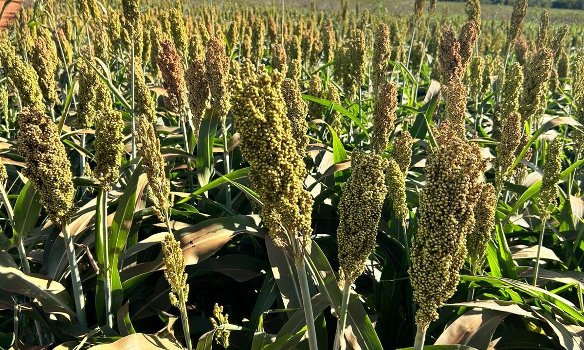 105bca57-525f-4000-84d0-a576803bcf42