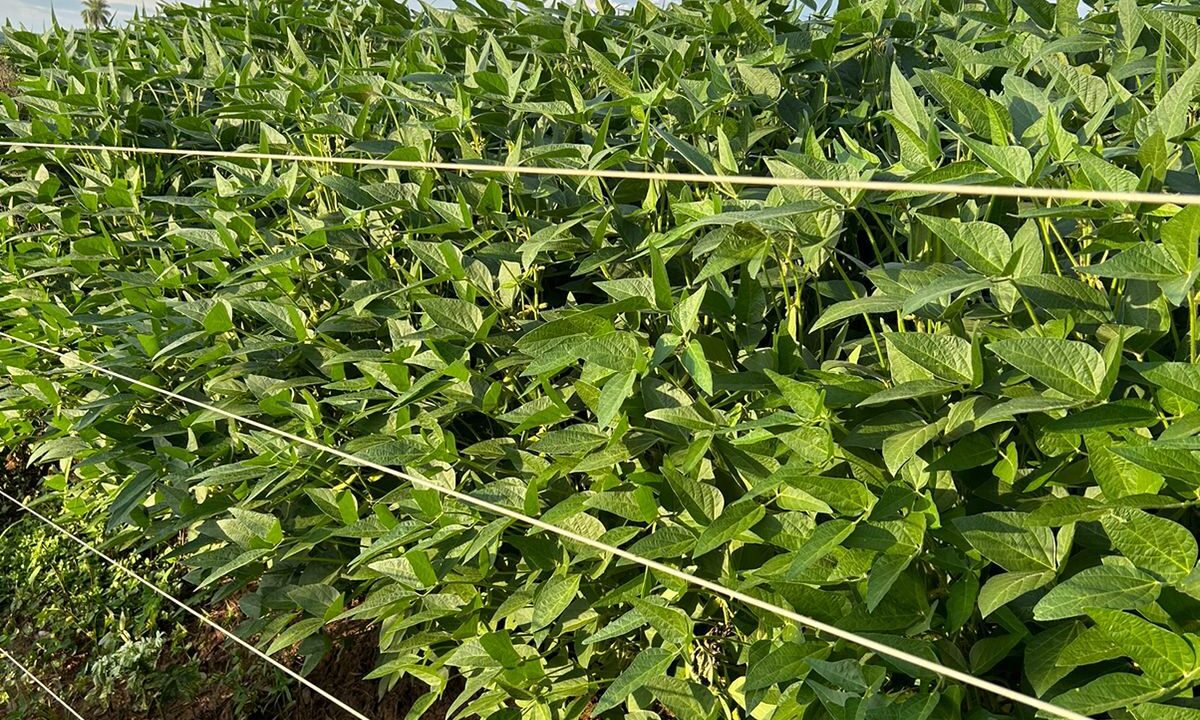 294d937b-1a6b-41be-ad23-88d3db1ba216