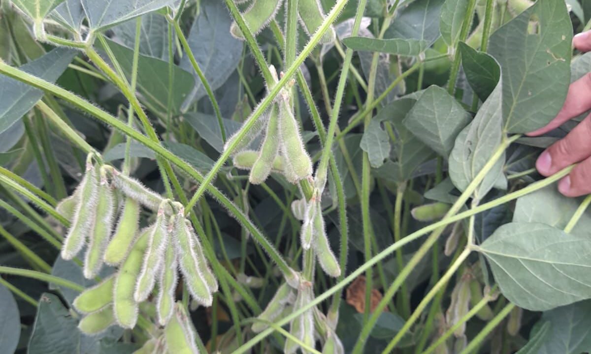 4778e168-592f-4350-87b1-885800d0ec29