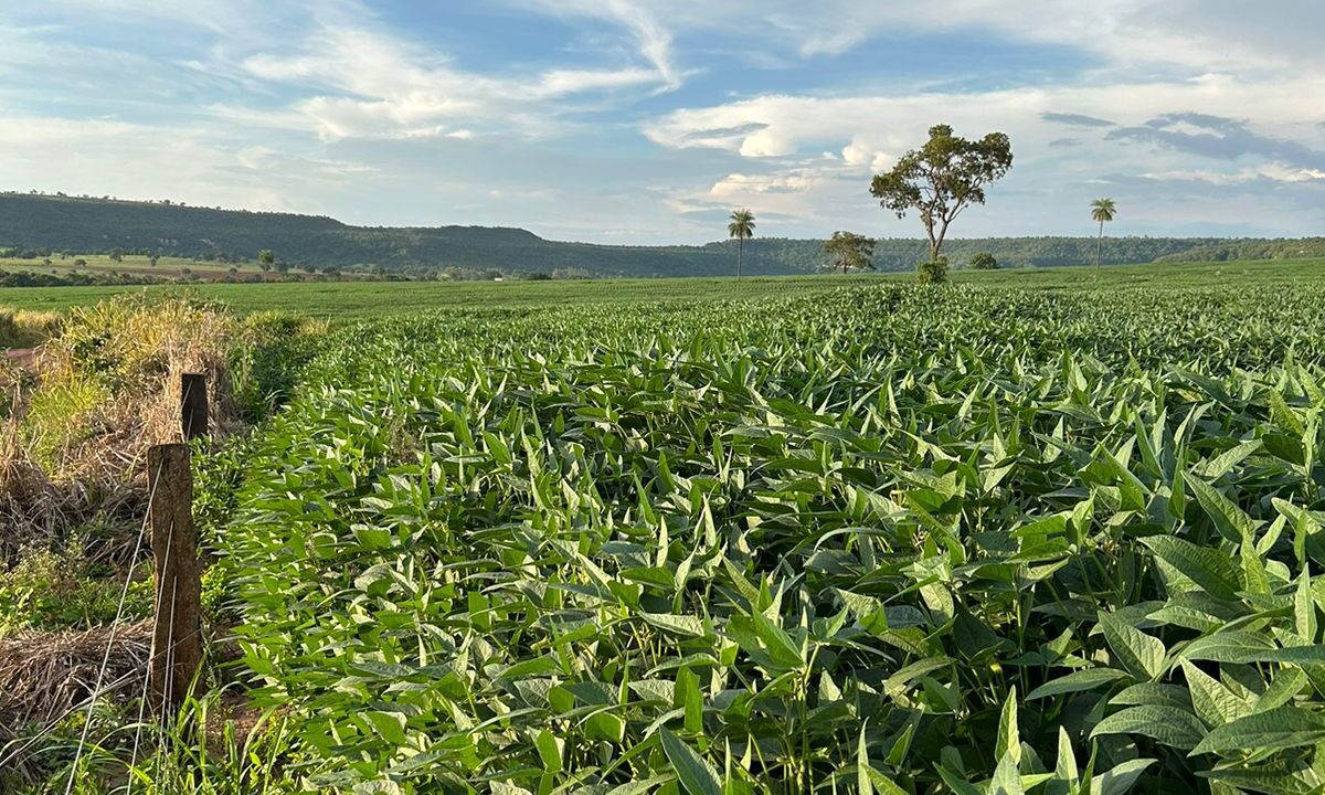 4cff14df-3127-45ac-820f-6c3e3f98e908