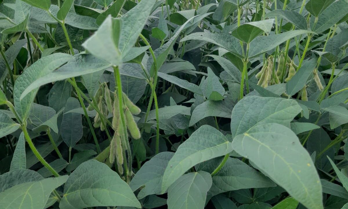 65194403-2b34-4ad9-849e-e2e449de28d1