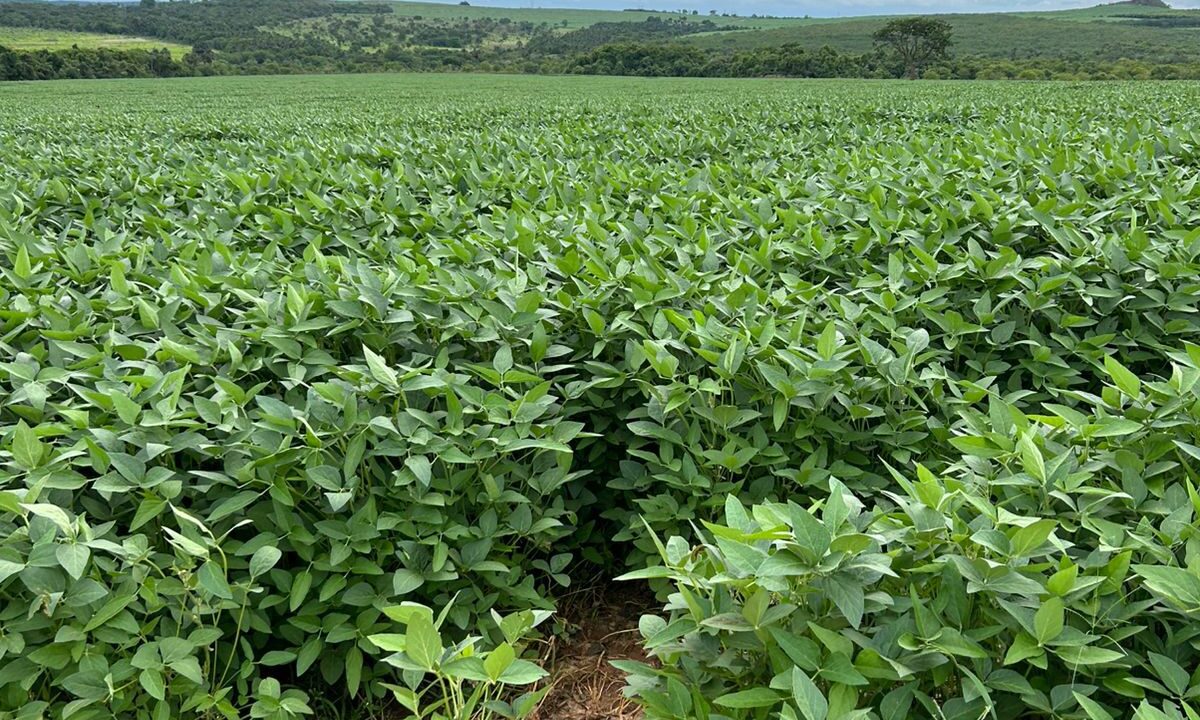 a613282f-cdf4-4291-92cf-952d733e824e