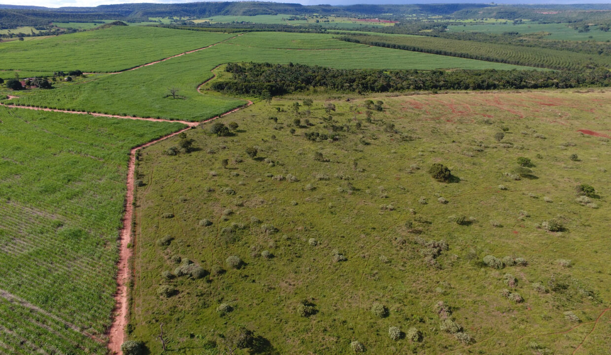 c4360997-a4c1-4bd8-9354-da5b87624342