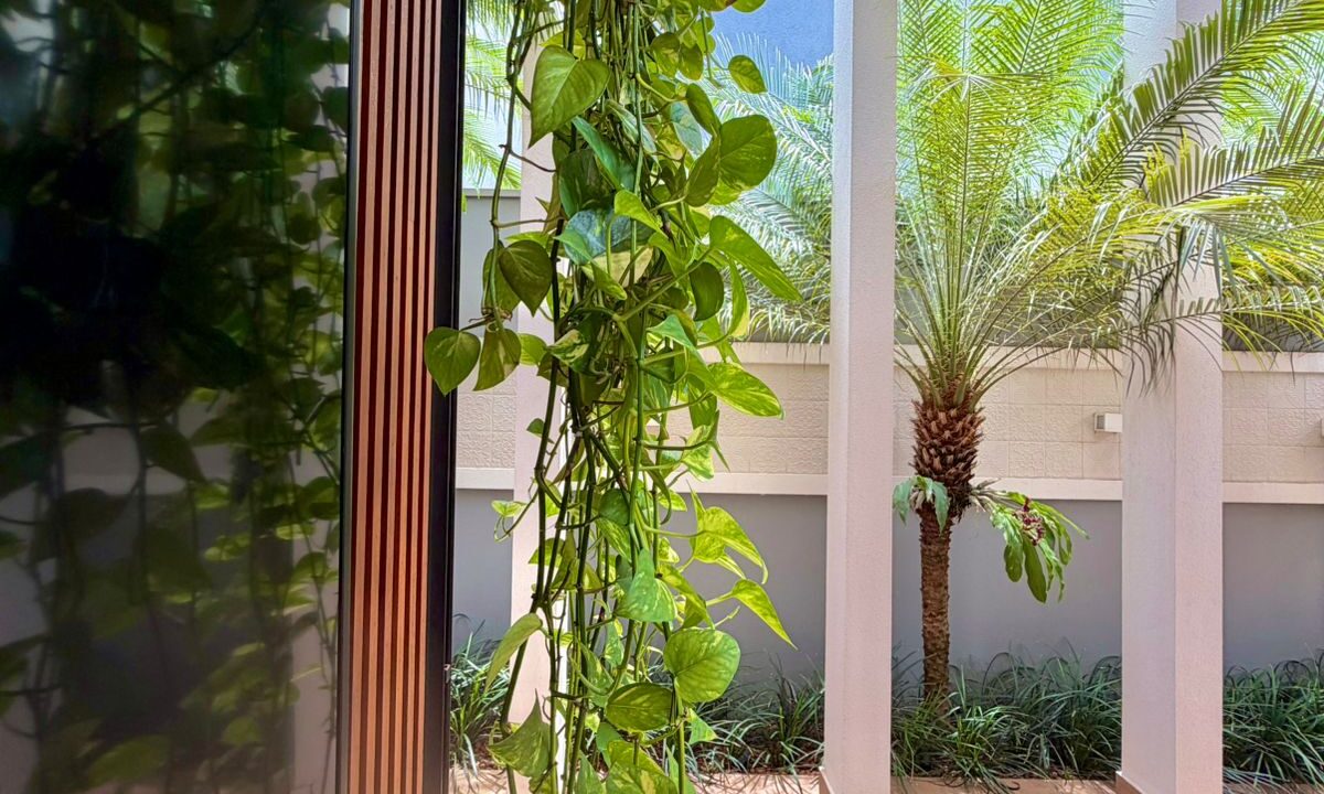 7459fa36-43fb-4905-900f-b36b17dc3649