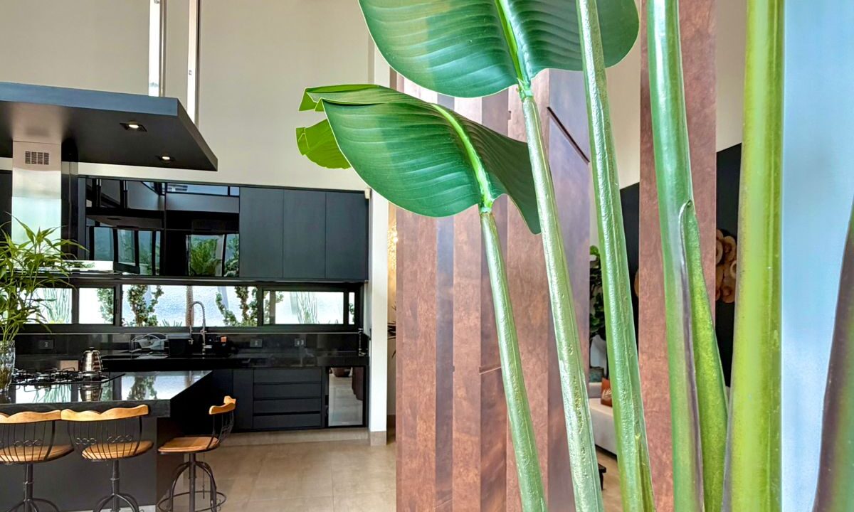 e6febff9-09d1-4d48-8906-85f886d17b21