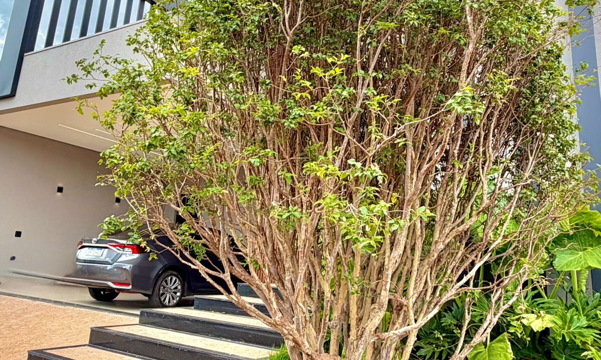 32bde93b-e409-4b6f-8296-3d0de14e1b5a